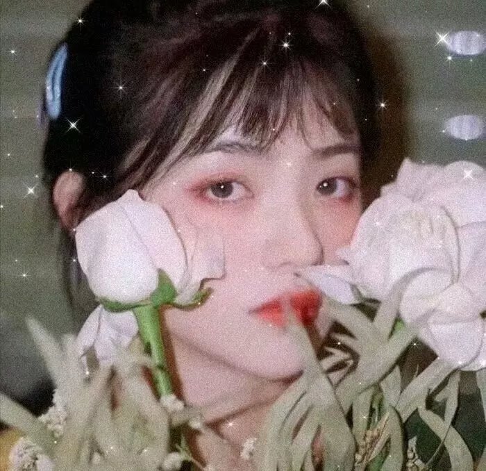 寒枝折不断电影版